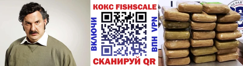 Купить Ряжск COCAIN Fish Scale