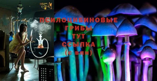 2c-b Дмитров